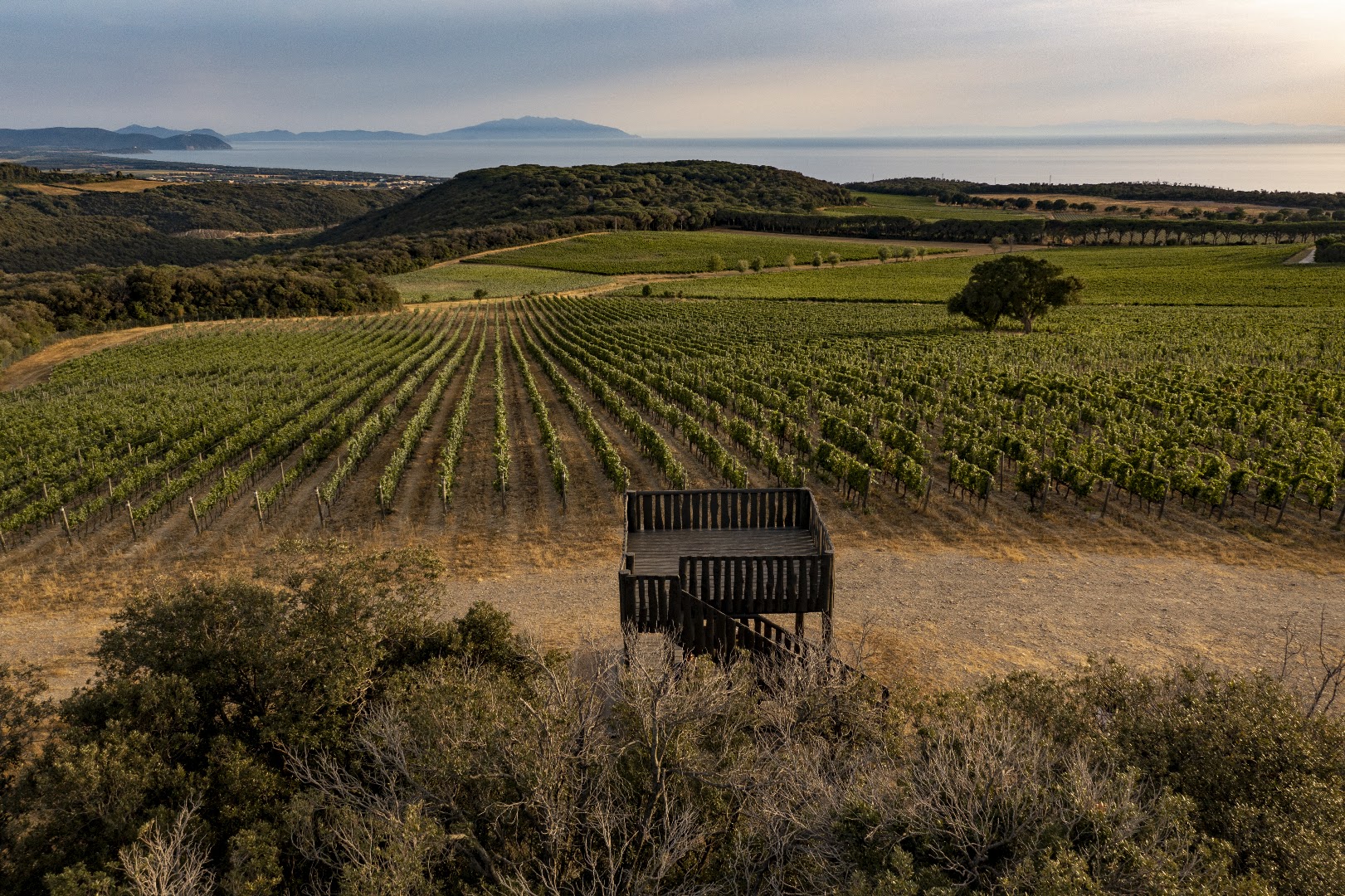 Enoteca Tenuta Argentiera