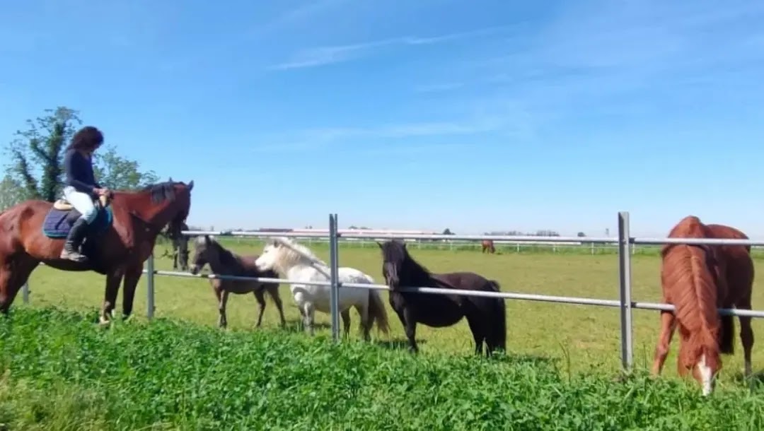 Equi.Care ASD - Centro Equestre, Genivolta