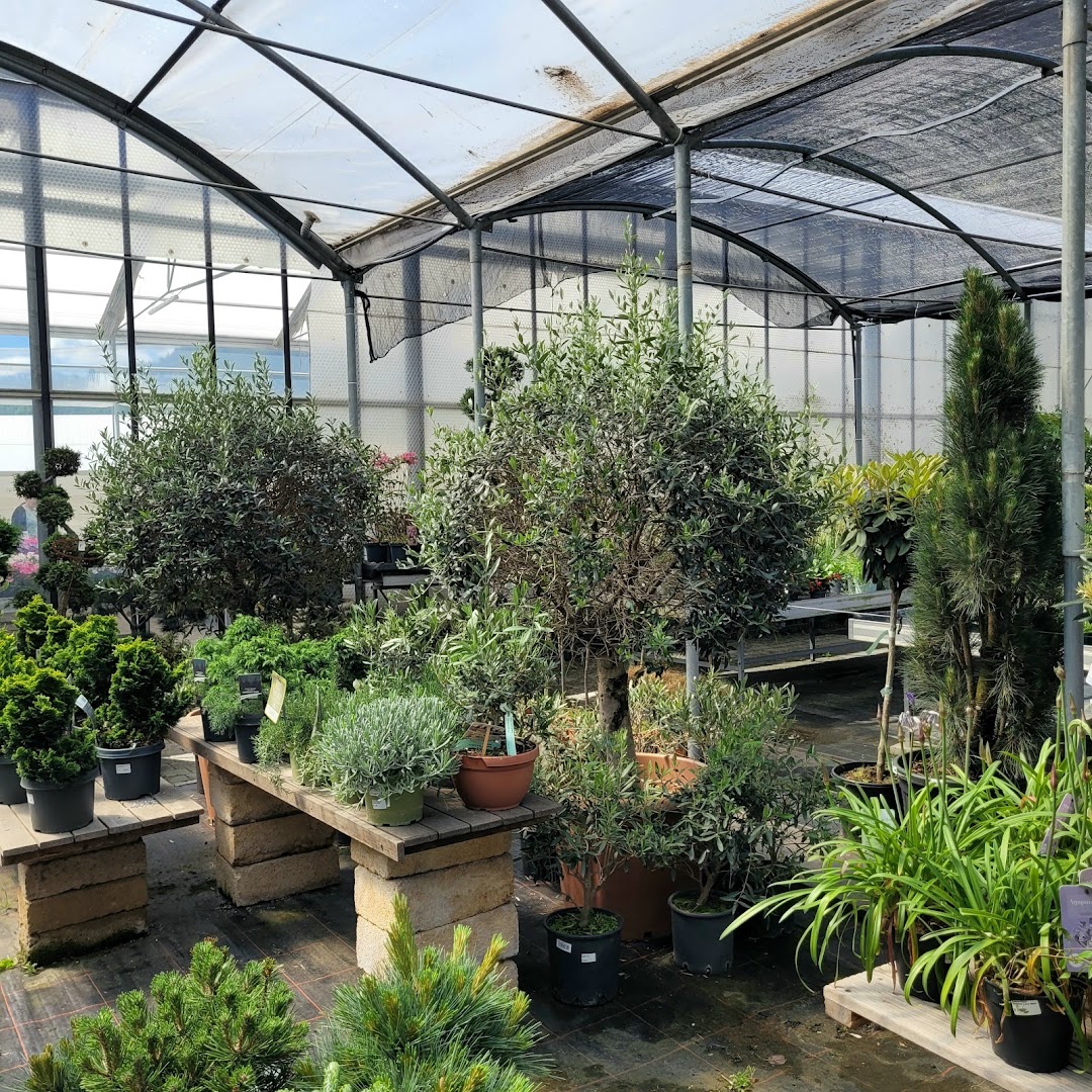 Erlebnisgärtnerei Reifer Raimund Floricoltura