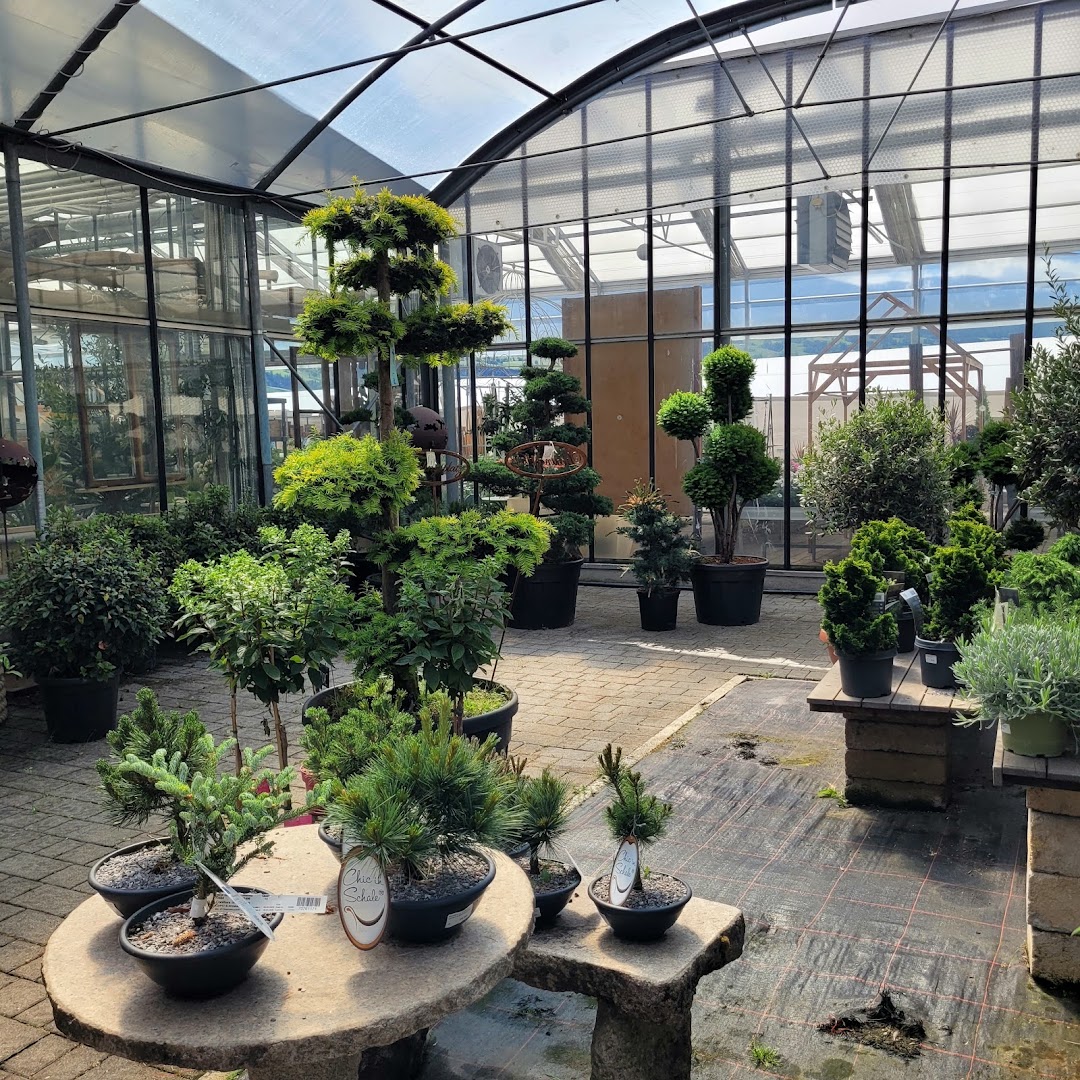 Erlebnisgärtnerei Reifer Raimund Floricoltura