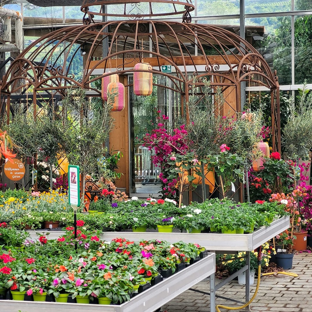 Erlebnisgärtnerei Reifer Raimund Floricoltura