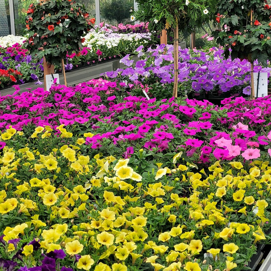 Erlebnisgärtnerei Reifer Raimund Floricoltura