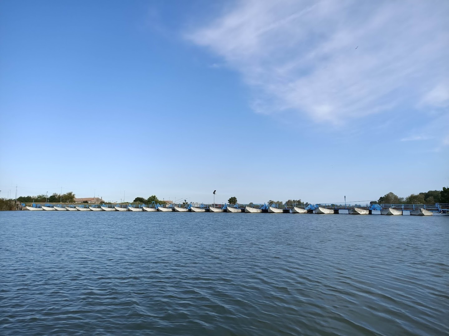 ESCURSIONI NEL DELTA DEL PO con Niky Penini