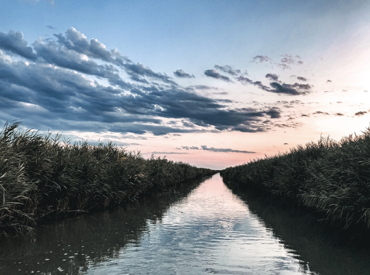 ESCURSIONI NEL DELTA DEL PO con Niky Penini