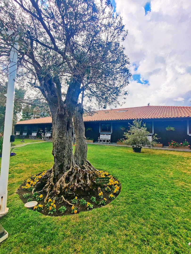 Etna Enoturismo
