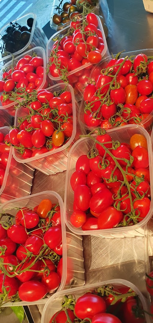 Eurofrutta Di Villatora Silvestro