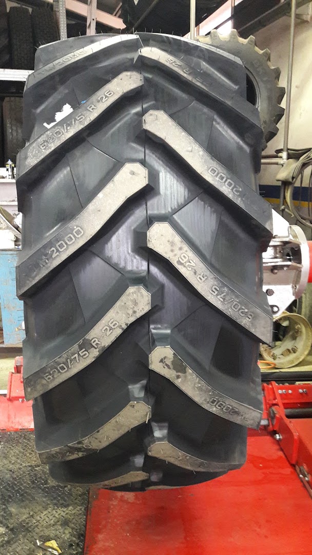 Euromaster Mordano Gomme