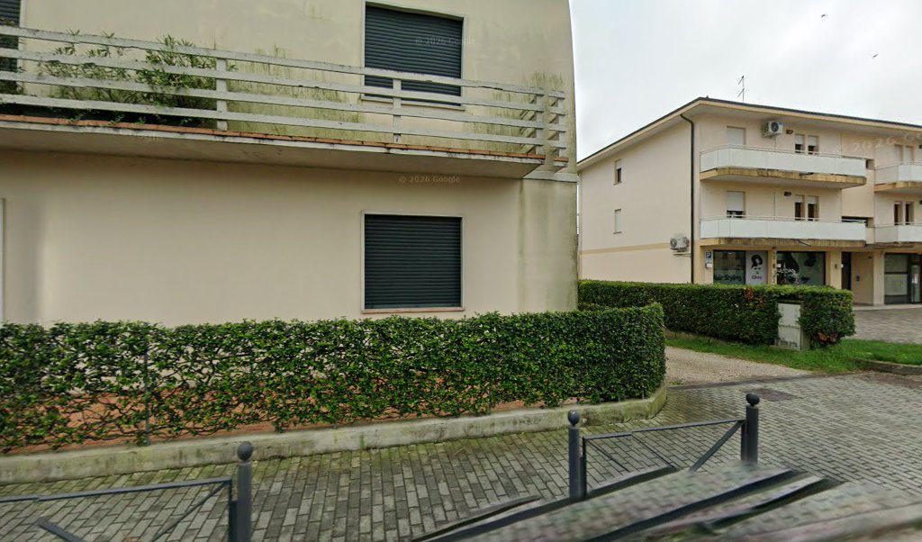 Eventi Di Charme Di Cagnetta Udy, Arcade
