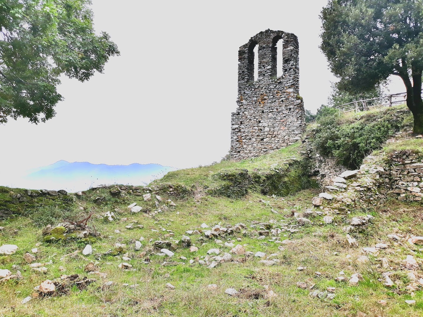 Ex Abbazia di Santa Maria di Peseca, Albi