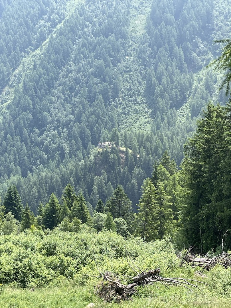 Ex forte "Barba di Fiori" (o "Barbadifior", o "Peio")