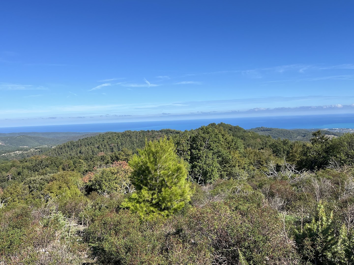 ExploraGargano Escursioni Quad Jeep Vieste