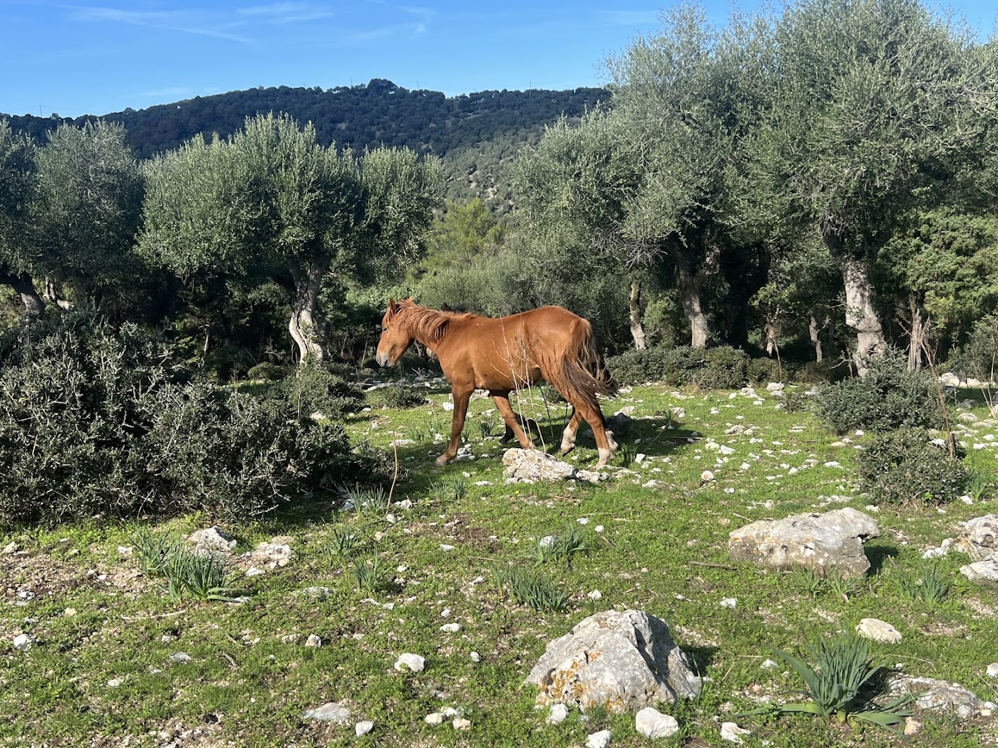 ExploraGargano Escursioni Quad Jeep Vieste