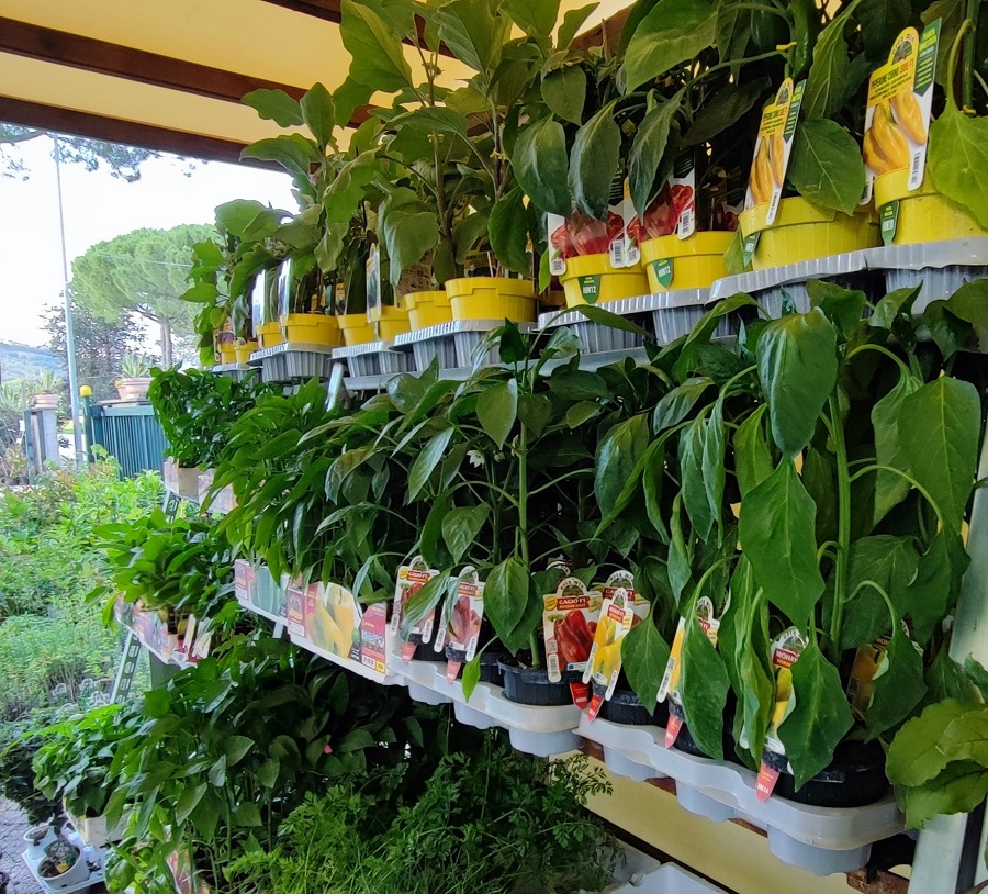 F.lli Passeri | Negozio di prodotti per l'agricoltura