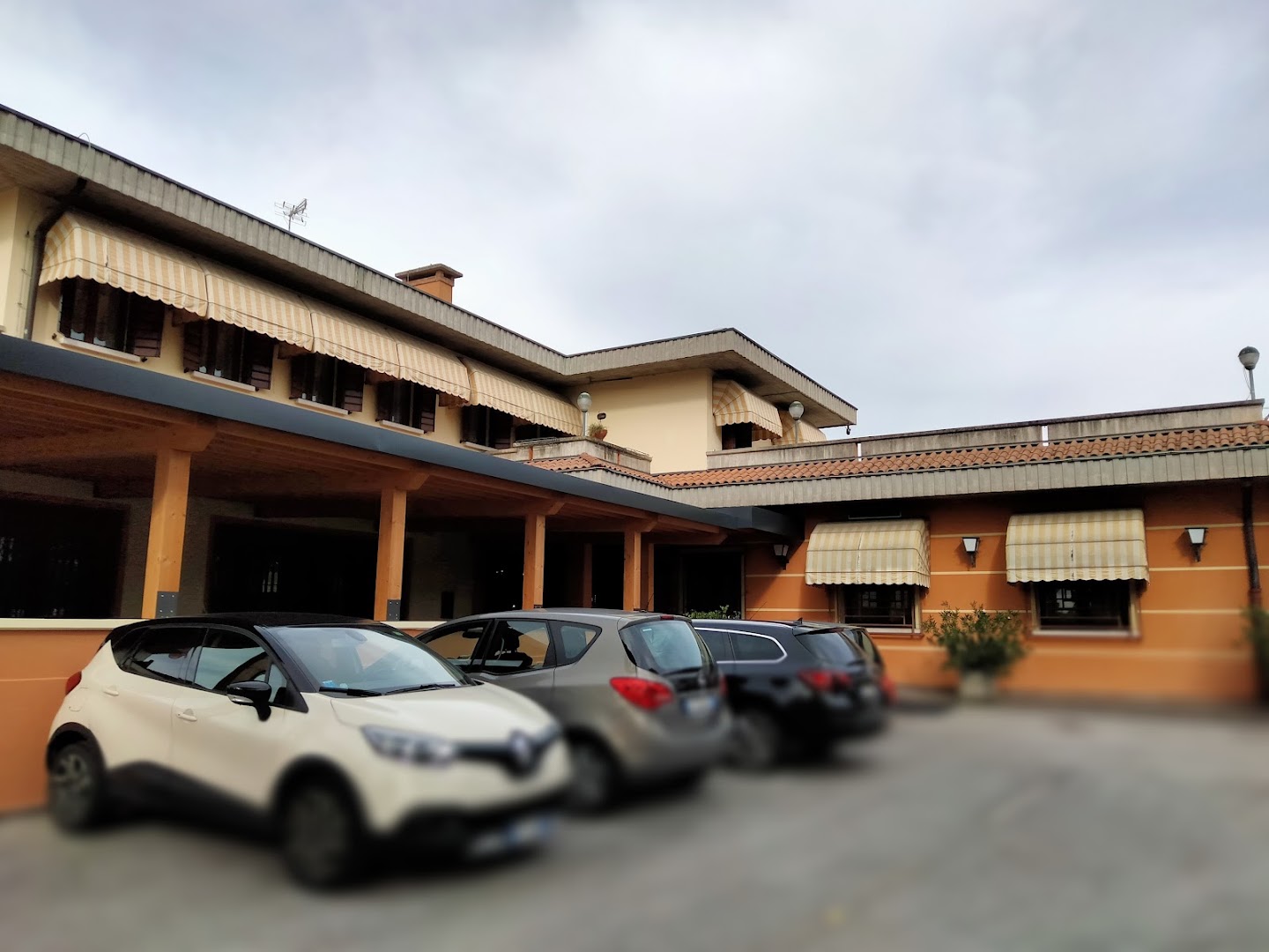 Falco d'Oro