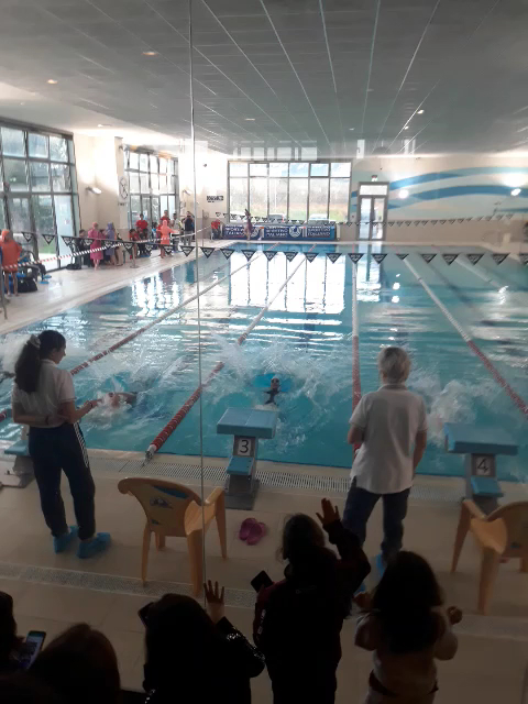 Falco Sport Village