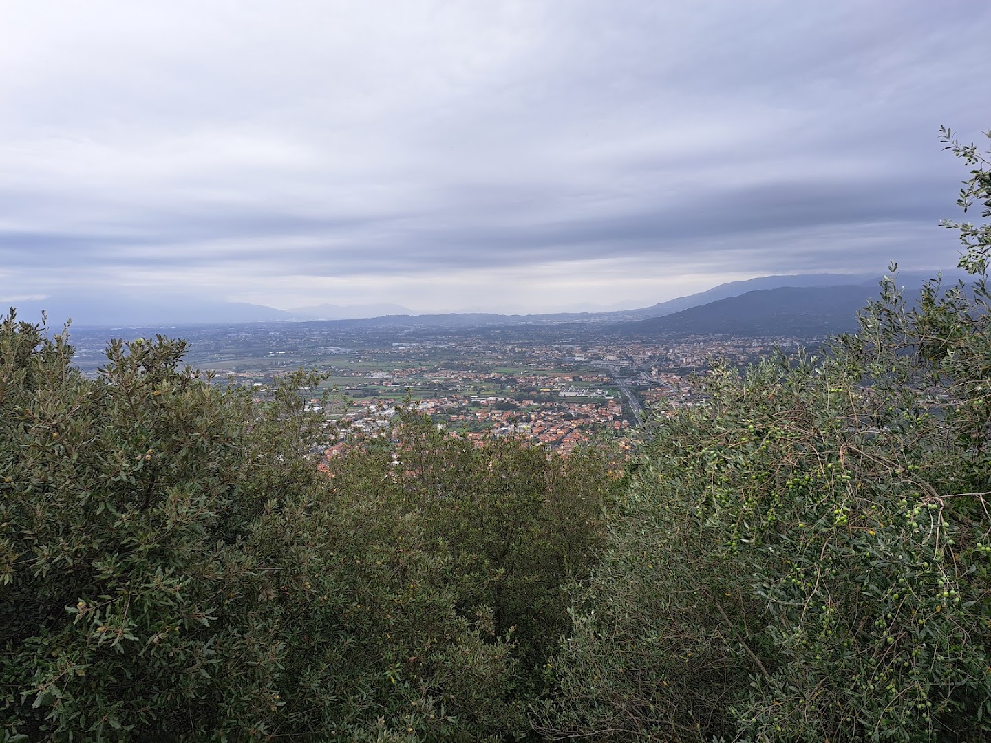 Falesia di Monsummano