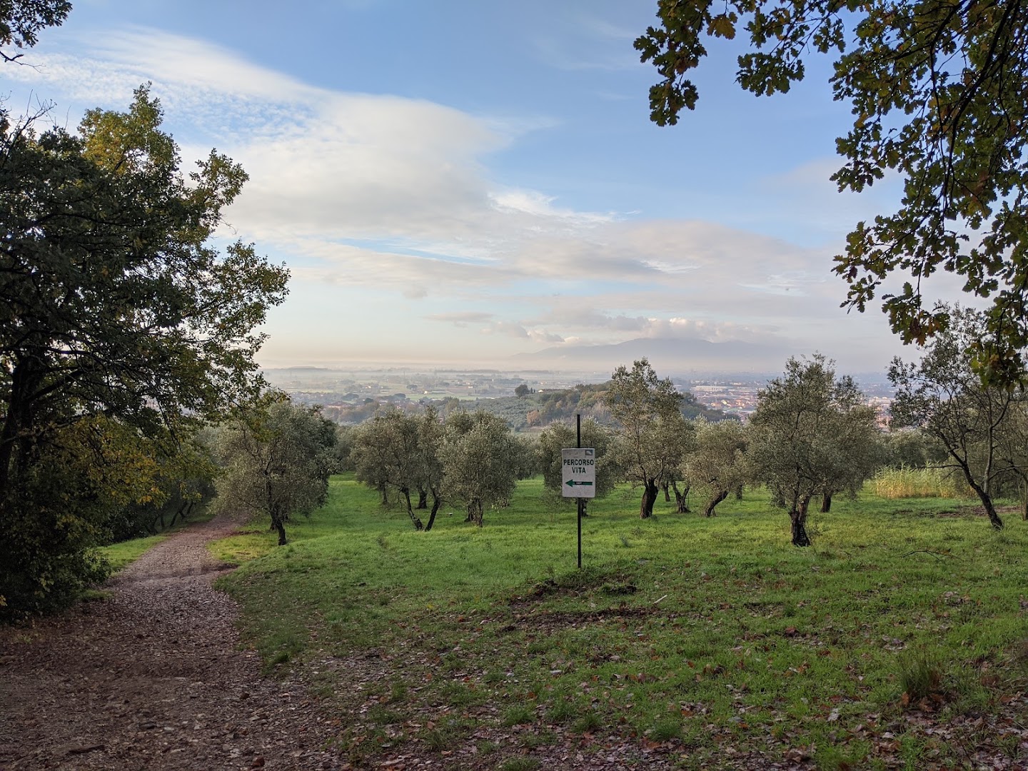 Falesia di Monsummano