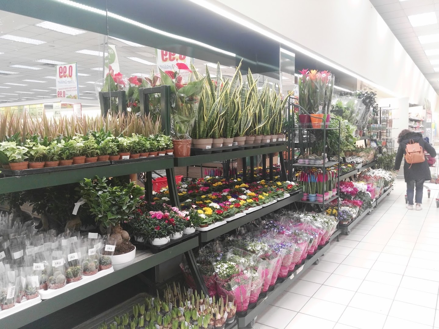 Famila Superstore Verona Borgo Roma