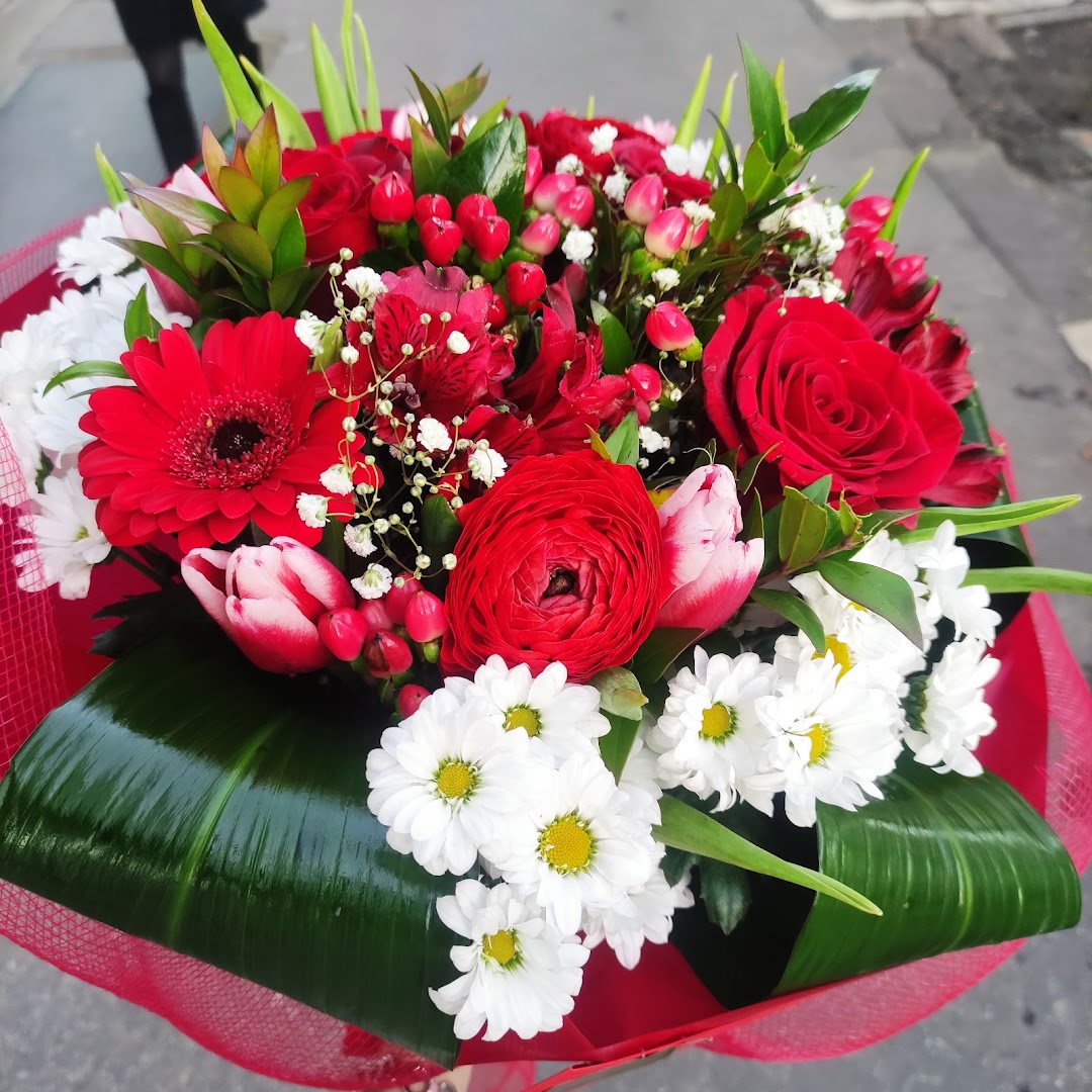 Fanizza Vito, Milano