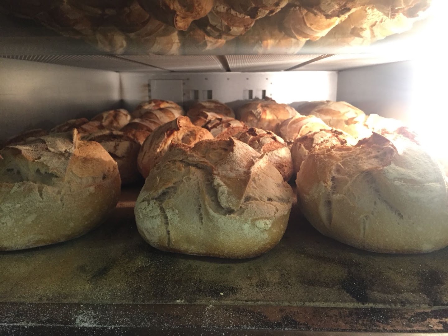 Farina Del Tuo Sacco