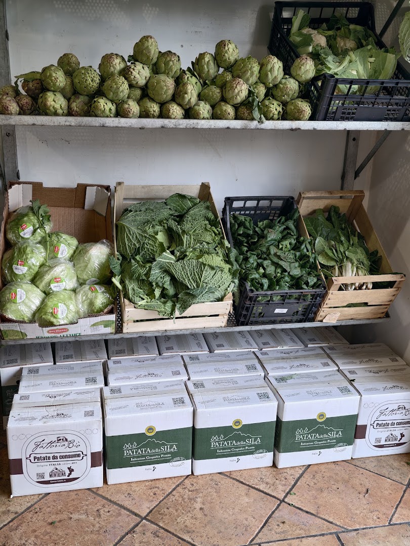 Fattoria Biò Macelleria e Formaggeria prodotti tipici