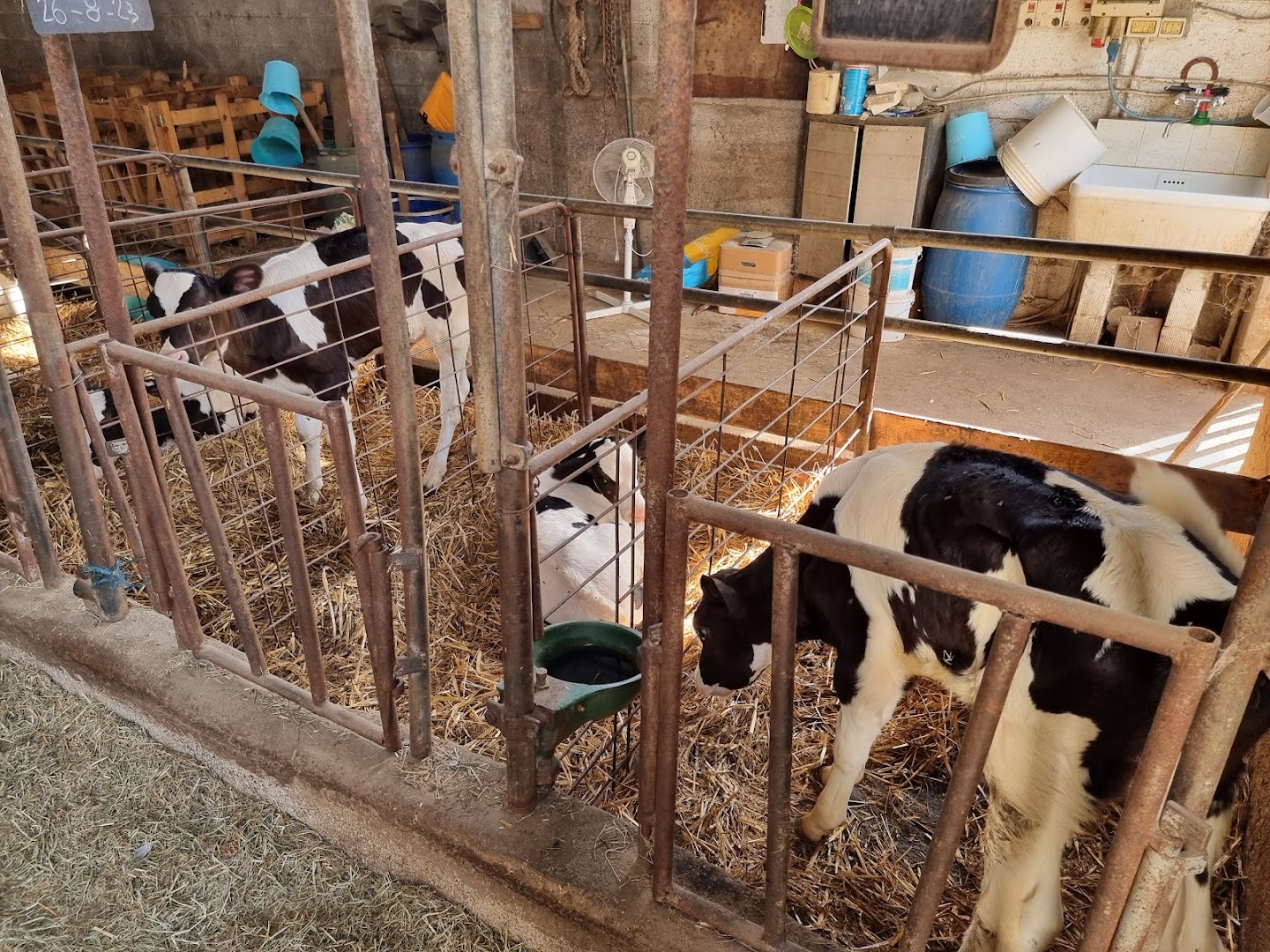 Fattoria Cogo