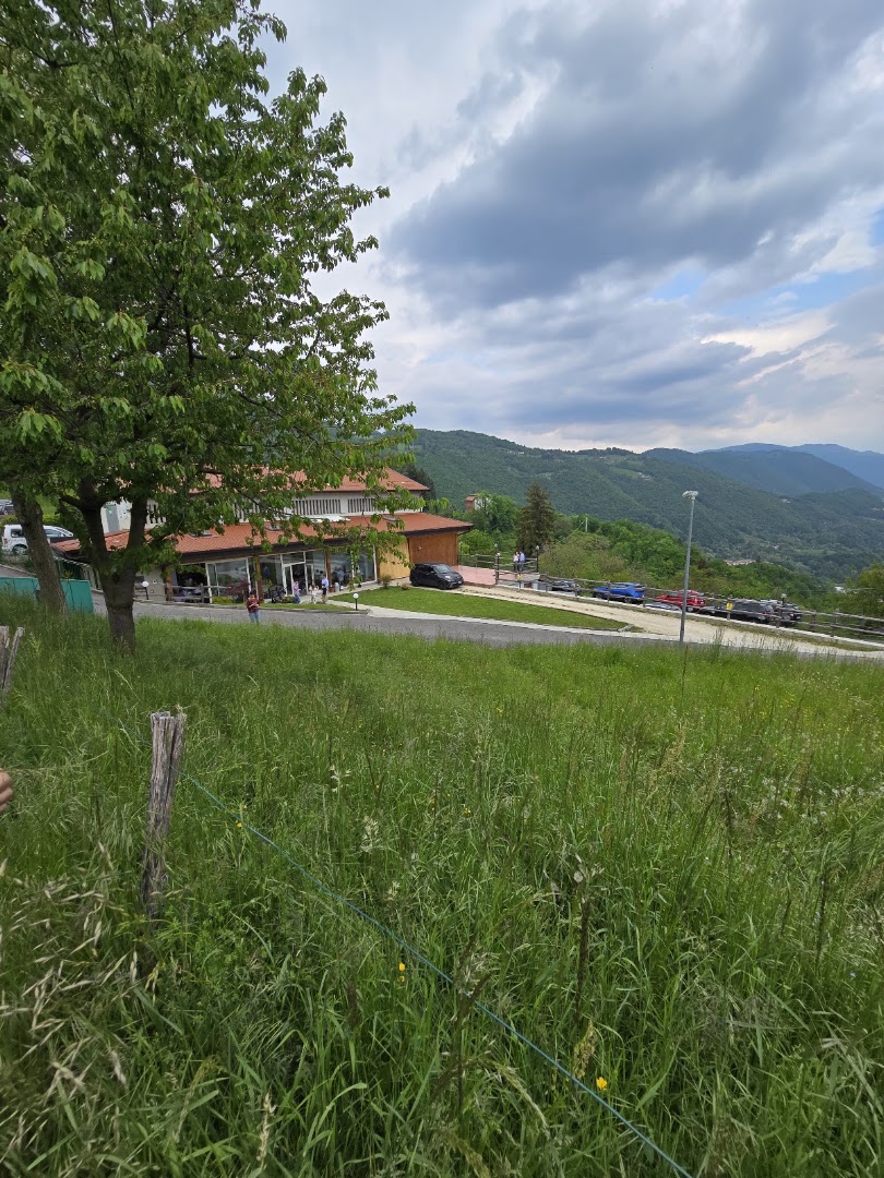 Fattoria del Colle