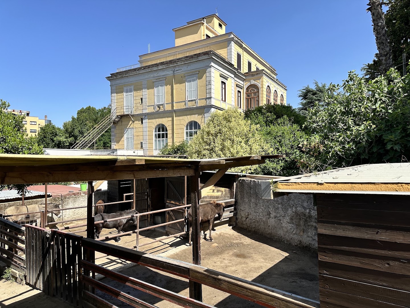 Fattoria Ilarità, Napoli