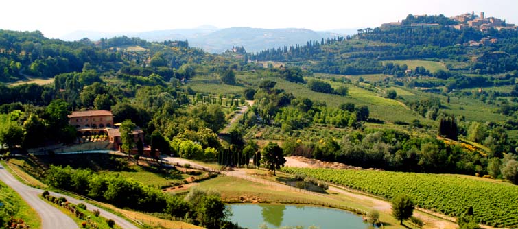 Fattoria Pulcino Ristorante