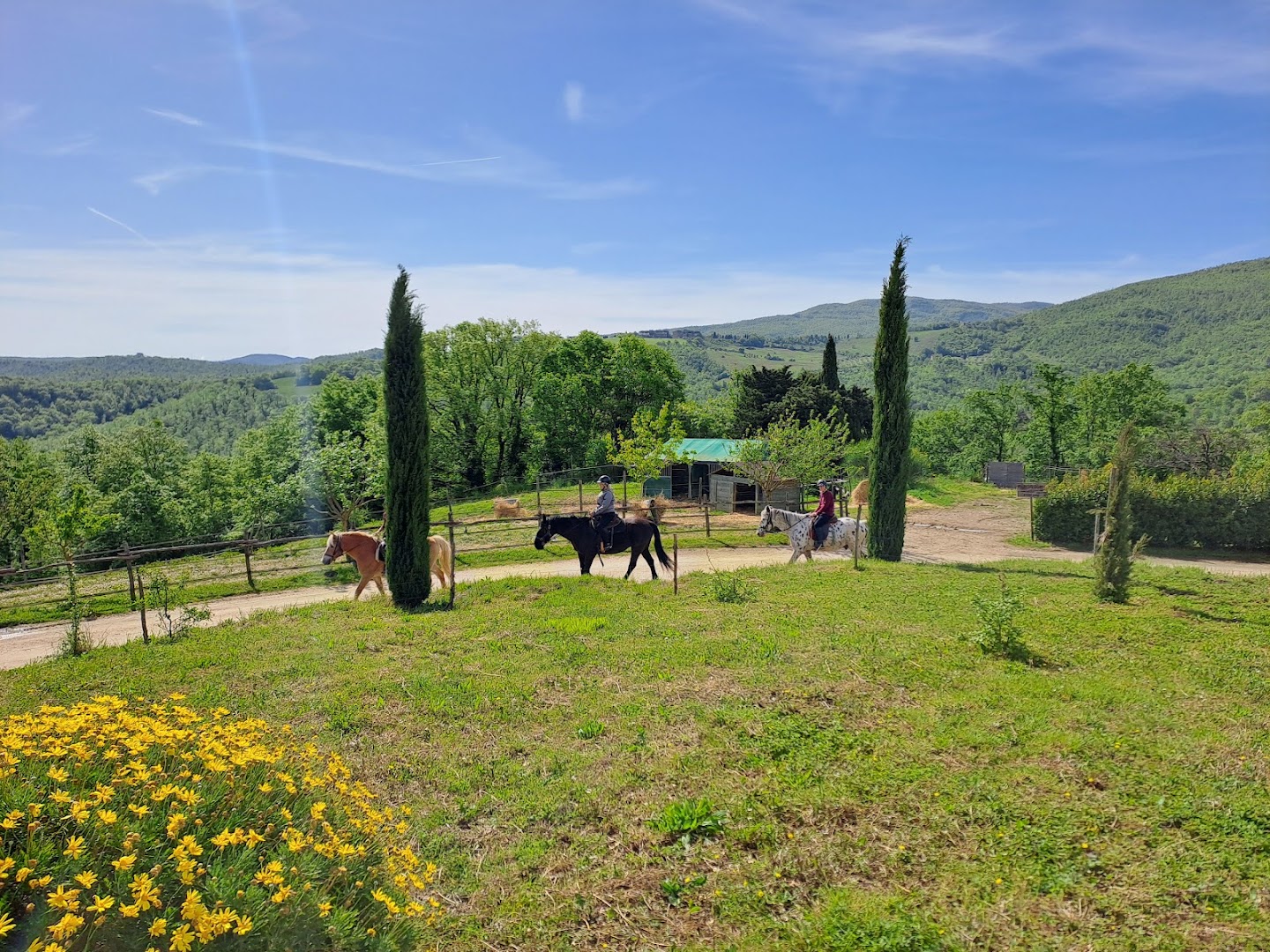 Fattoria Tègoni