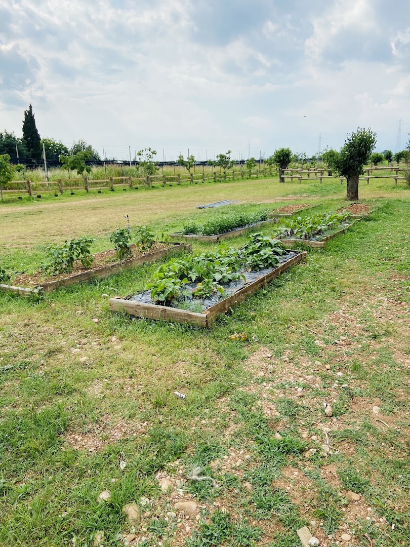 Fattoria Ape Regina
