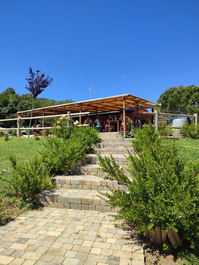 Azienda Agricola Fattoria Bonaparte