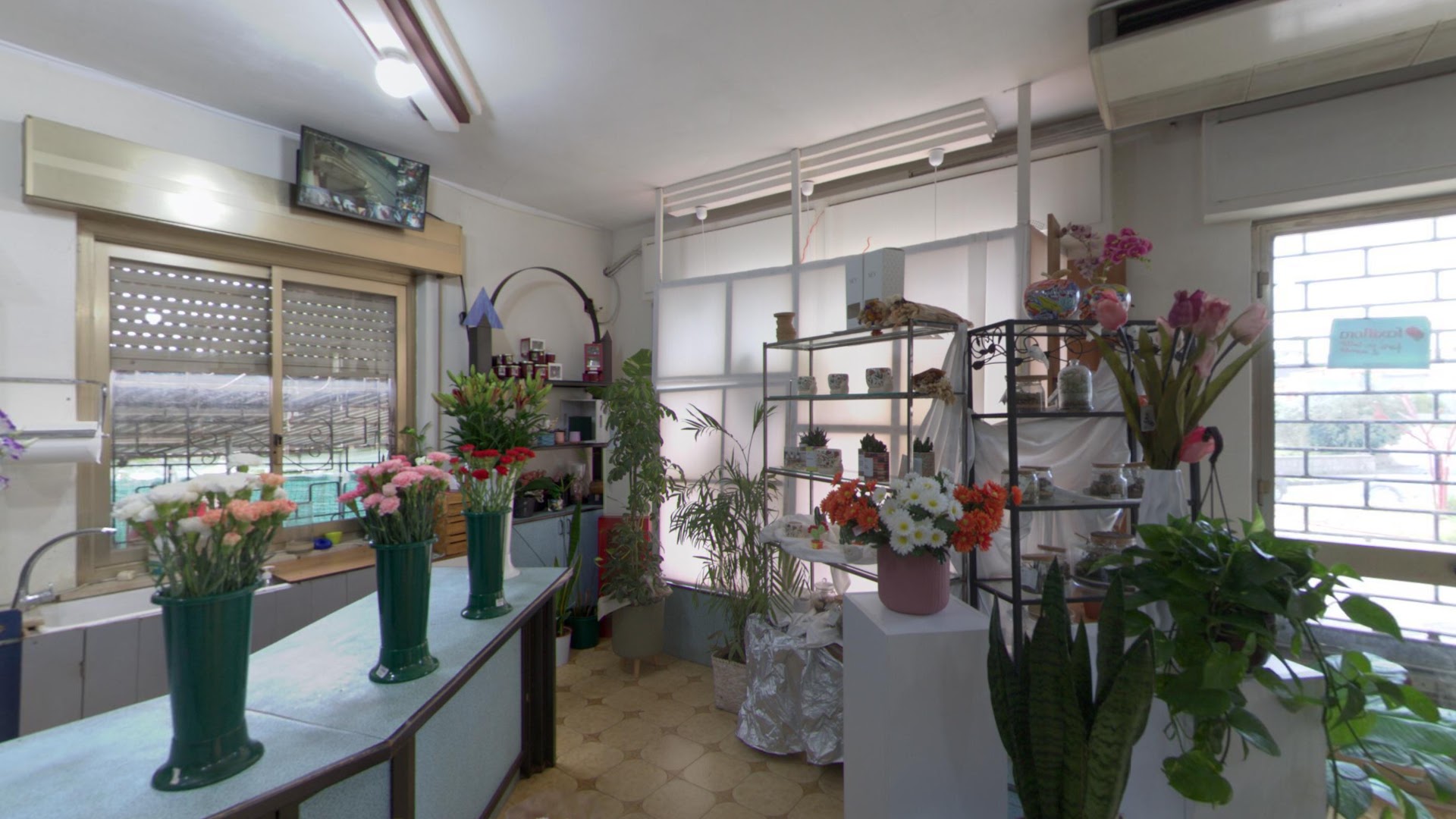 Ficara Fiori Di Garro Lucia, Canicattini Bagni