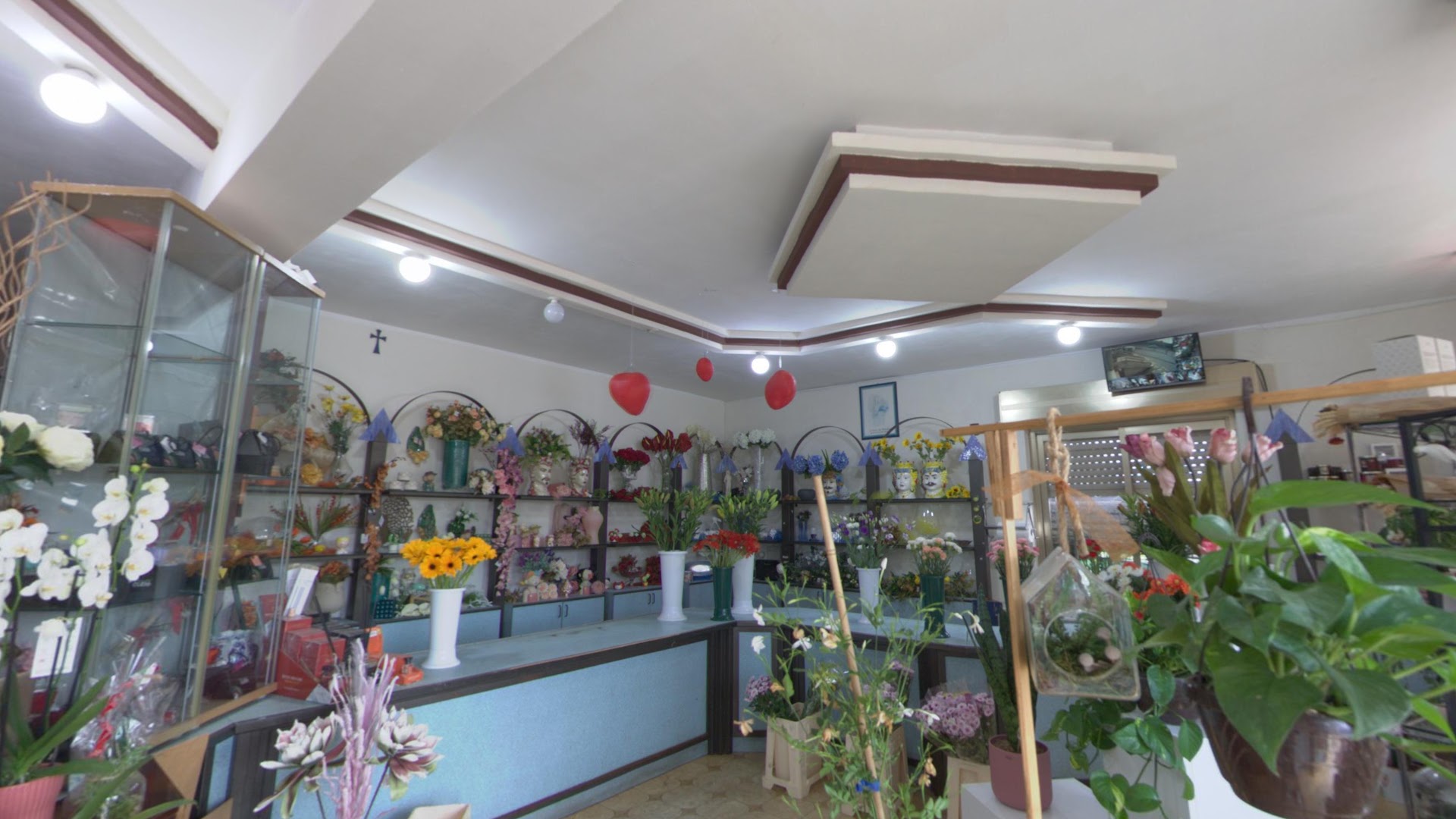 Ficara Fiori Di Garro Lucia