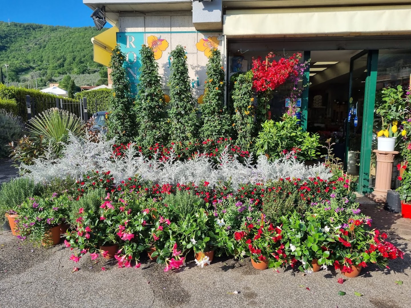 Fior Di Fiori Ronci-Orlandi