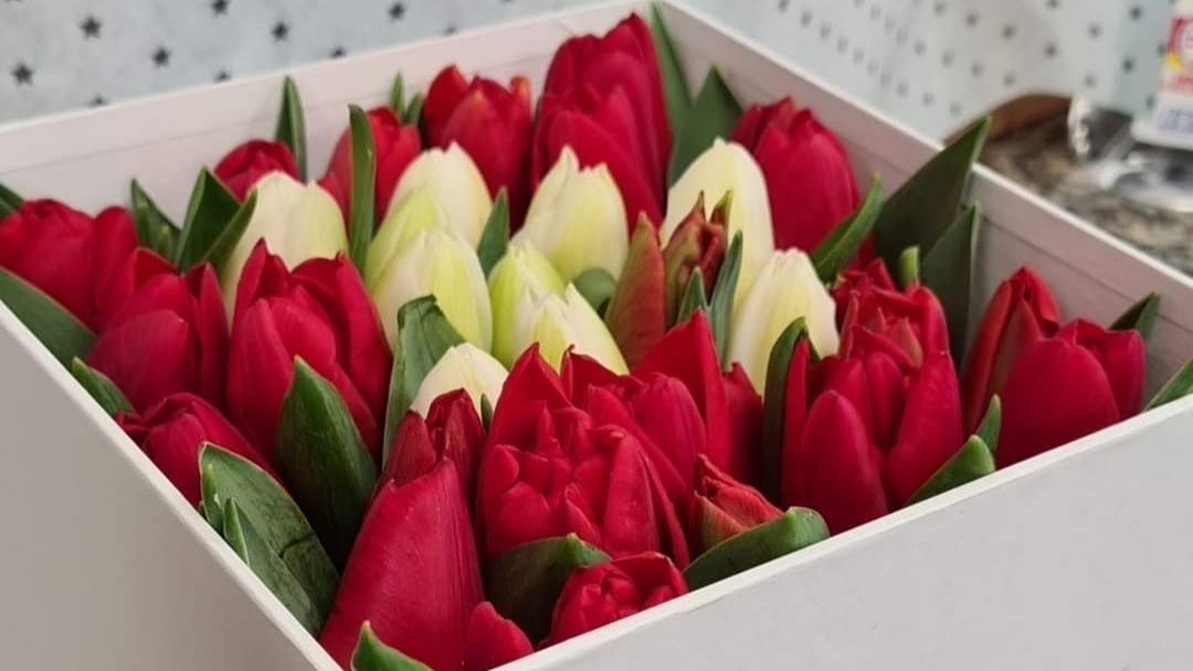 Fior Di Fiori Ronci-Orlandi