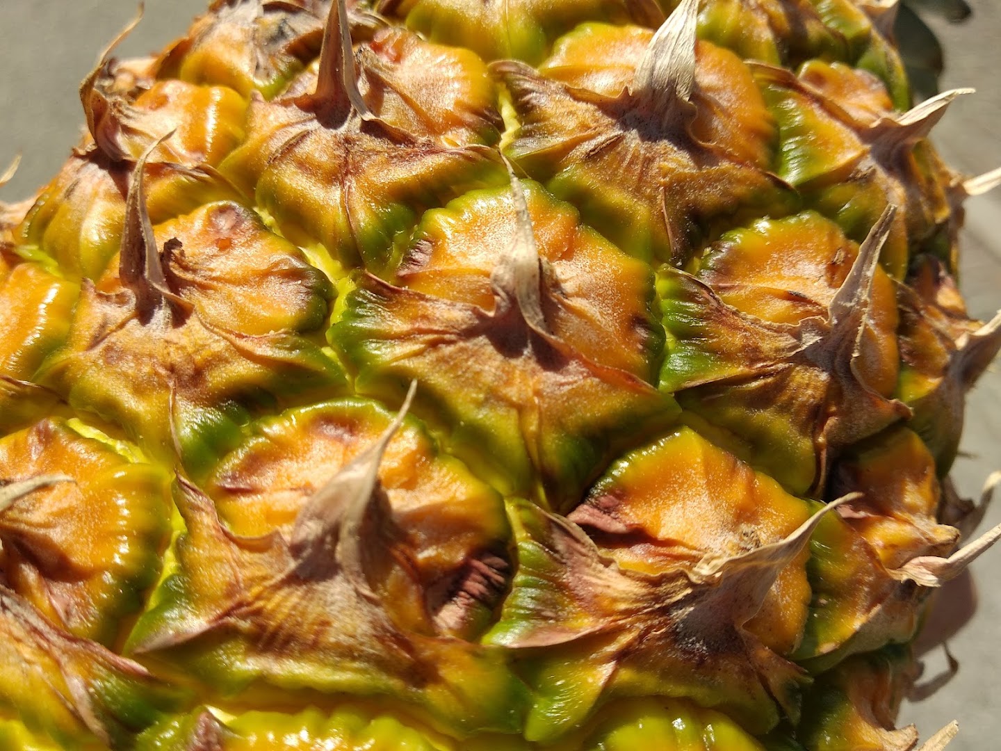 Fior di Frutta