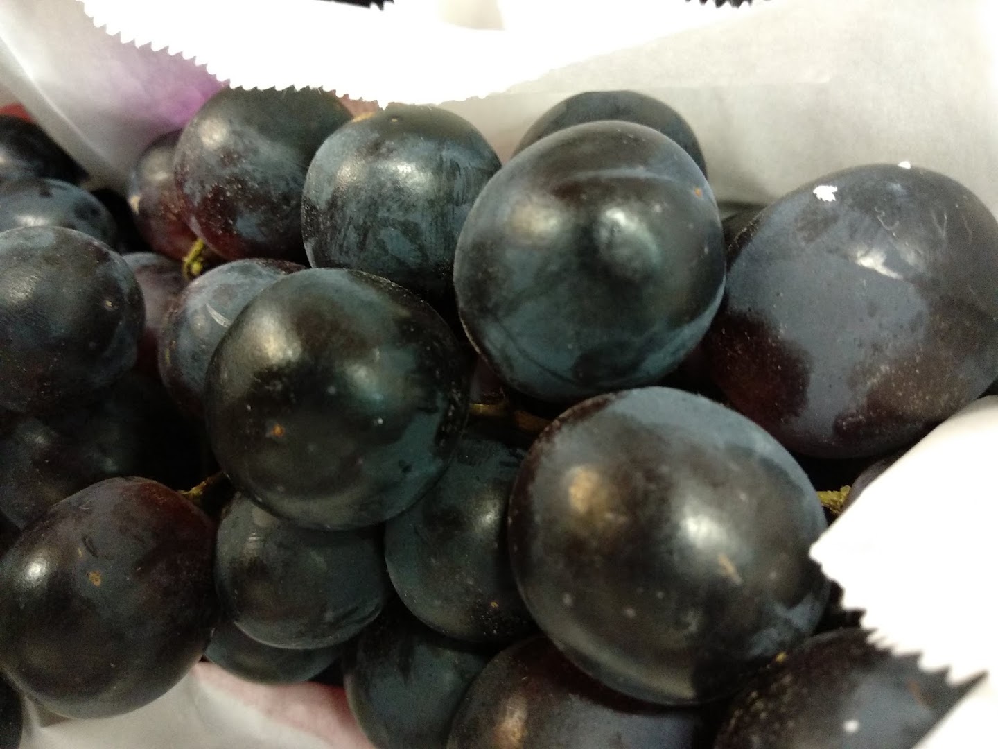Fior di Frutta