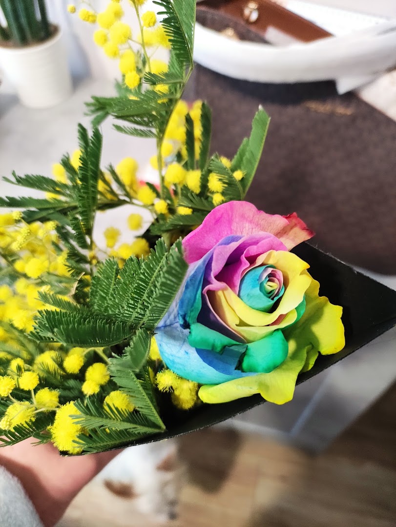 Fioraio Iris di Russo Pietro, Casalnuovo di Napoli