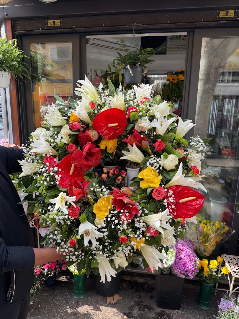 Fioraio Parioli Bouquet, Roma