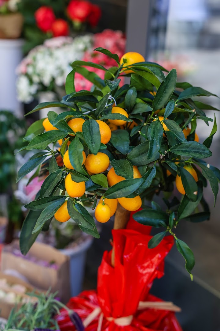 Fioraio Parioli Bouquet