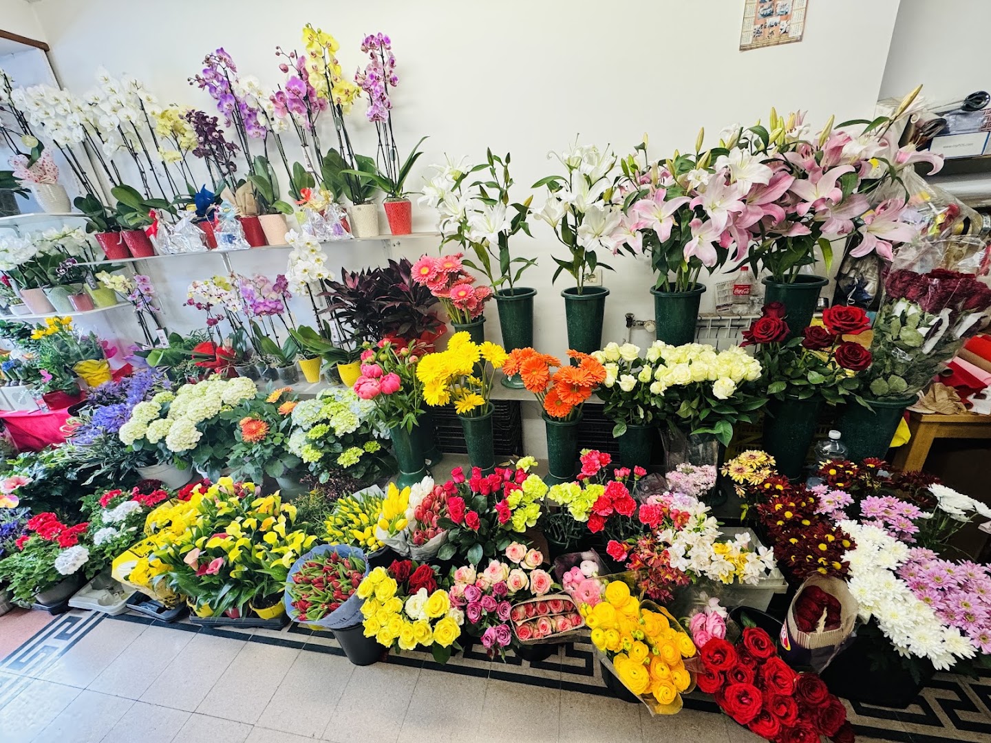 FIORAIO 💐 ( Pianta e Fiori )