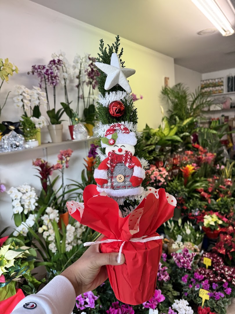 FIORAIO 💐 ( Pianta e Fiori )