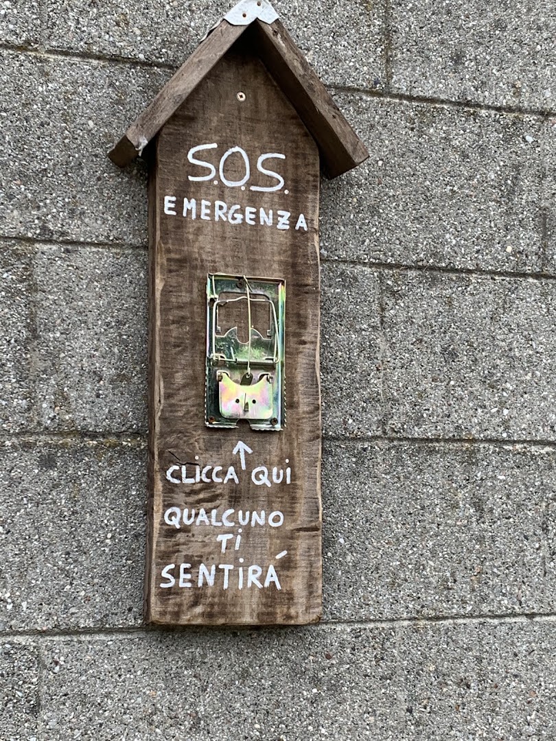 Fiorelilla