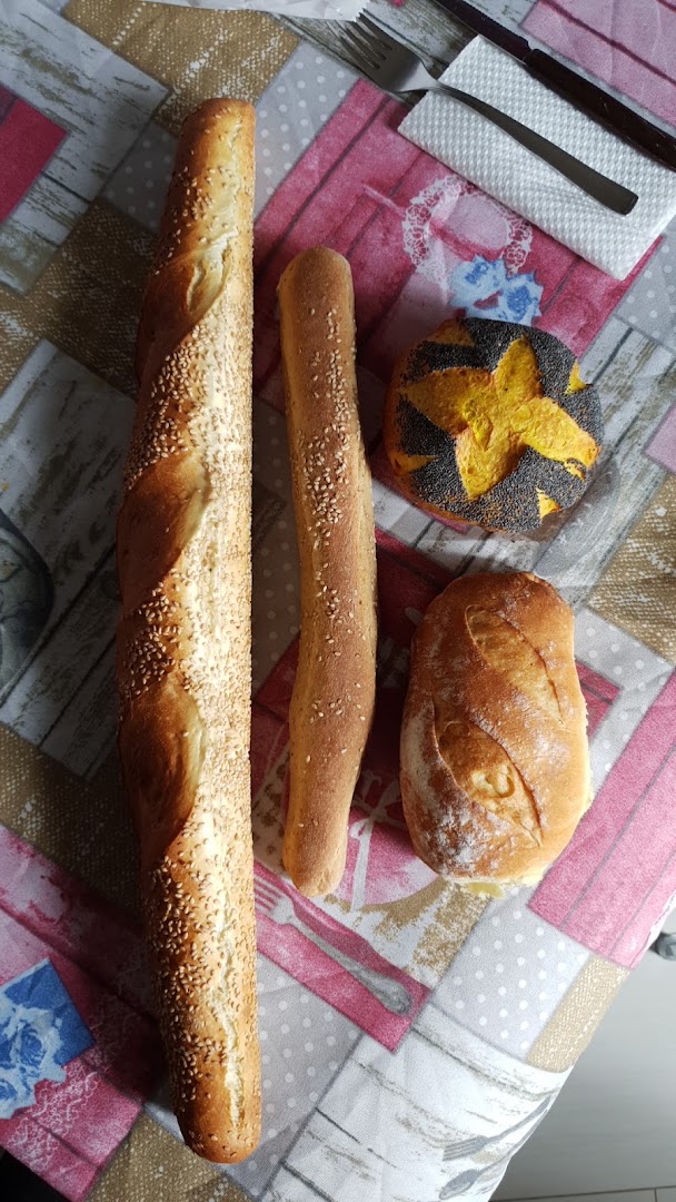 Fiorellino