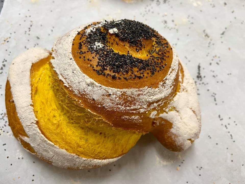 Fiorellino