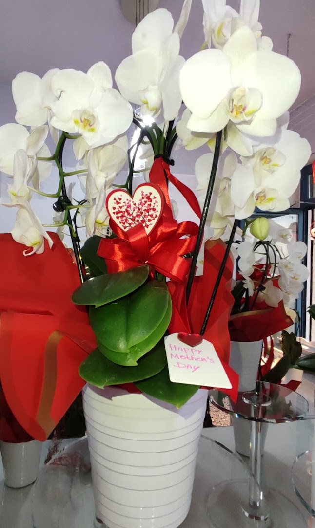 Fioreria Andrea's Flowers di Pusceddu Paola