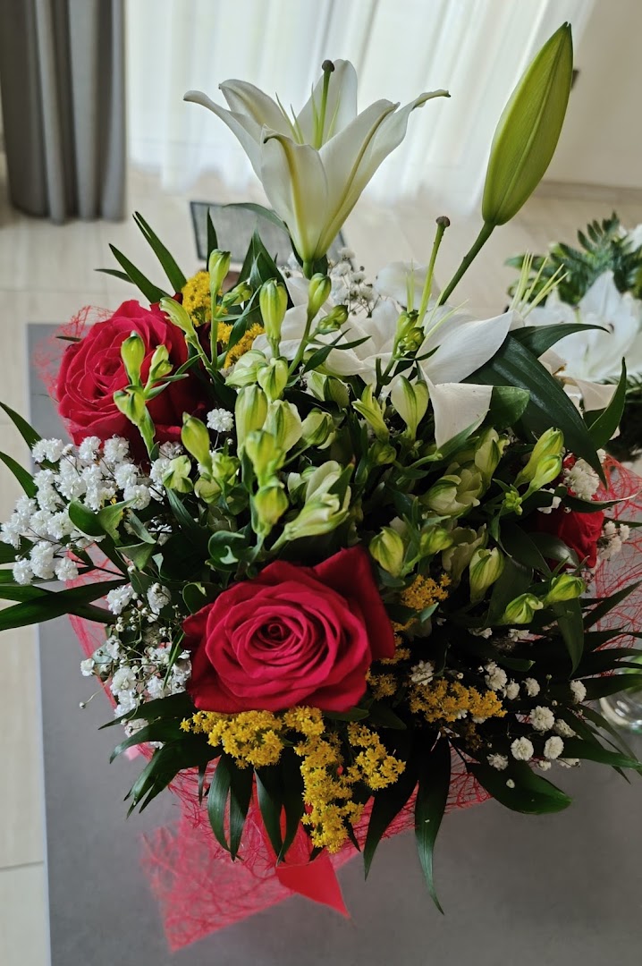 Fioreria Girasole Clara