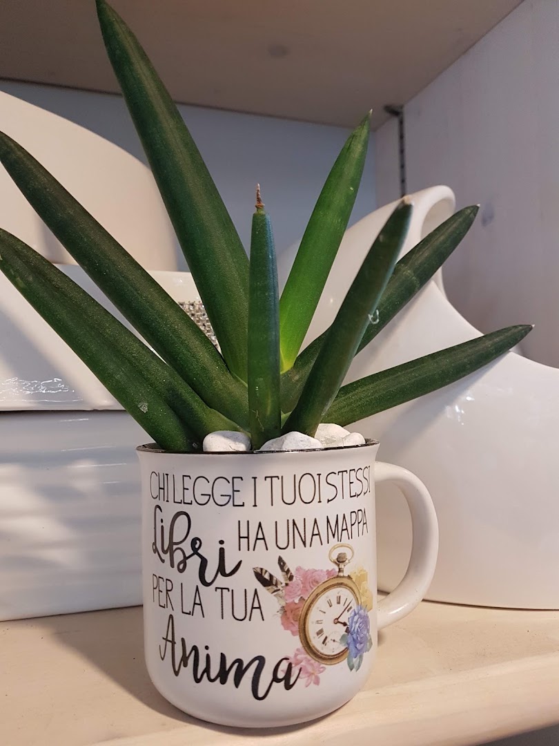 Fioreria Il Pollice Verde