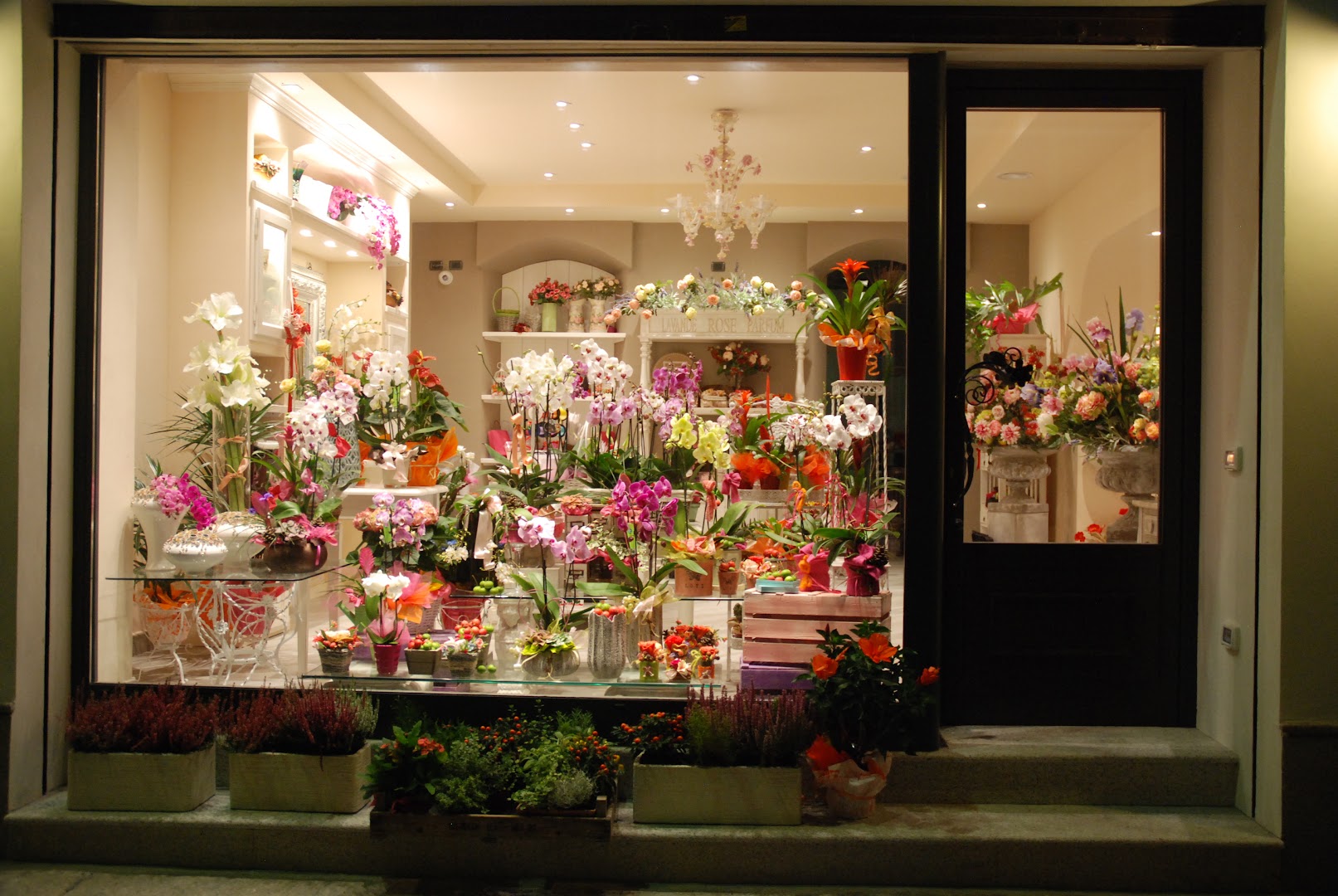 Fiori Bertola, Mortara